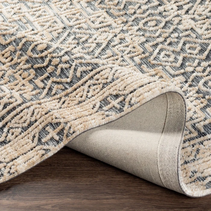 Surya Talise TLE-1011 2  x 3  Rug