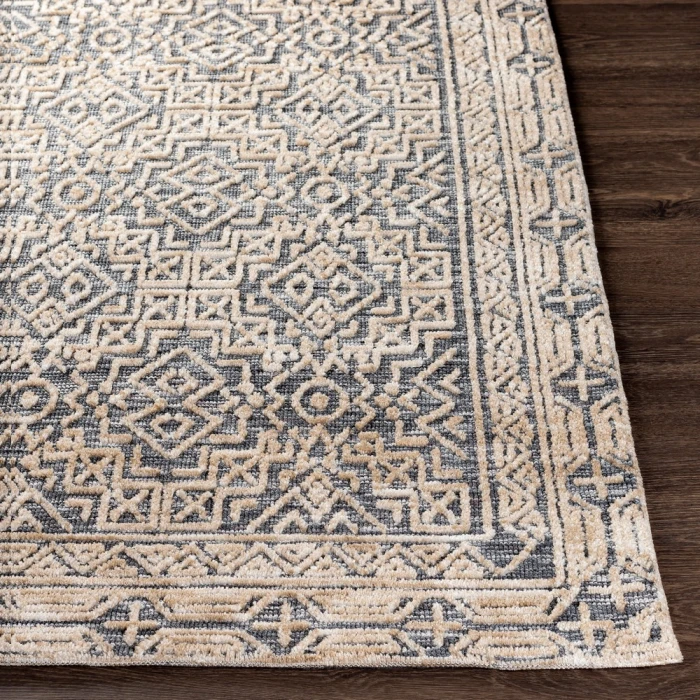 Surya Talise TLE-1011 2  x 3  Rug