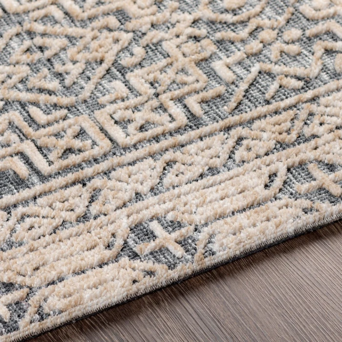 Surya Talise TLE-1011 2  x 3  Rug