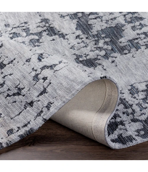 Surya Talise TLE-1012 2  x 3  Rug