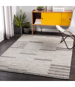 Surya Tamaris TMI2303 Light Gray Medium Gray Area Rug 8 ft. 10 in. X 12 ft. Rectangle