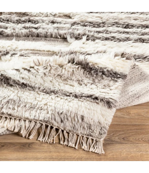 Livabliss Tulum TMU-2301 Area Rug