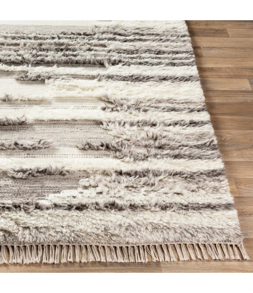 Livabliss Tulum TMU-2301 Area Rug
