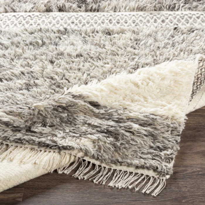 Livabliss Tulum TMU-2302 3 6 x 5 6 Rug