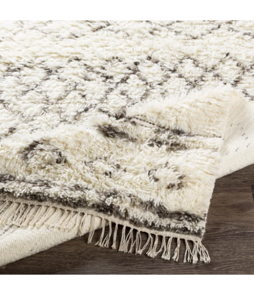 Surya Tulum TMU-2303 2  x 3  Rug