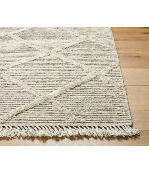 Tenerife TNF-2300 2'6" x 8' Handmade Rug