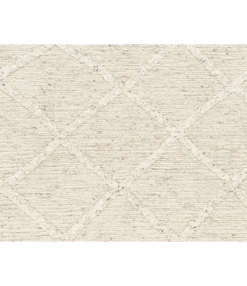 Tenerife TNF-2300 2'6" x 8' Handmade Rug