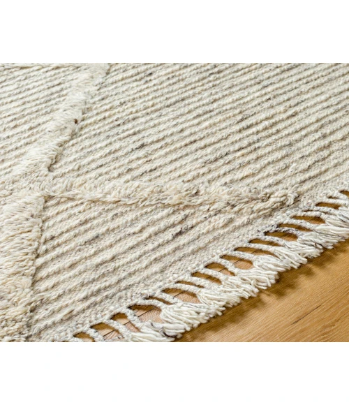 Tenerife TNF-2300 2'6" x 8' Handmade Rug