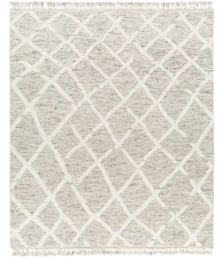 Surya Tenerife TNF2301 Slate Beige Area Rug 9 ft. X 12 ft. Rectangle