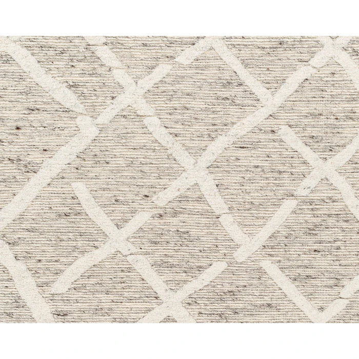 Tenerife TNF-2301 2'6" x 8' Handmade Rug
