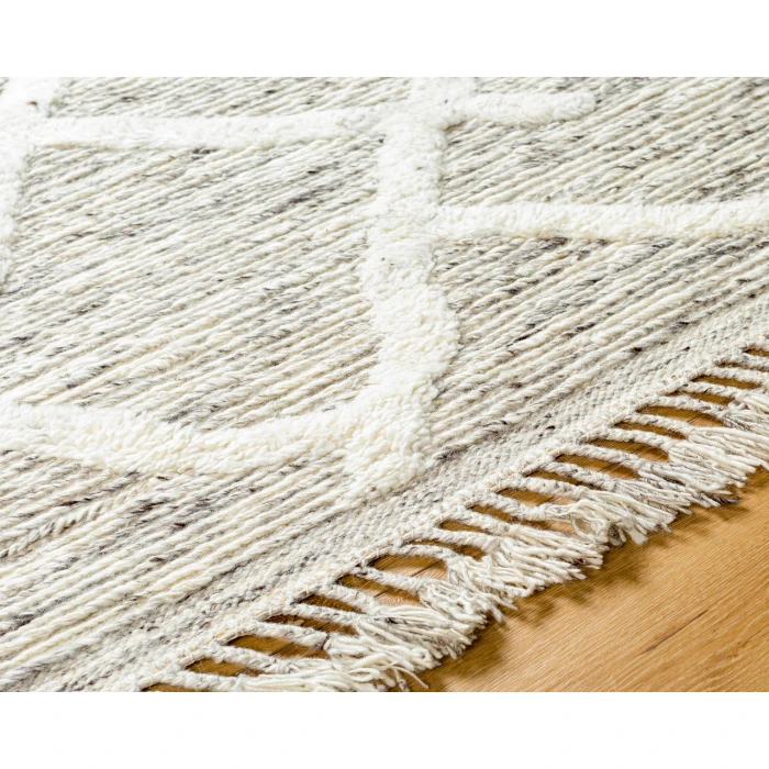 Tenerife TNF-2301 2'6" x 8' Handmade Rug