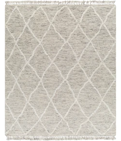 Surya Tenerife TNF2302 Light Gray Slate Area Rug 9 ft. X 12 ft. Rectangle