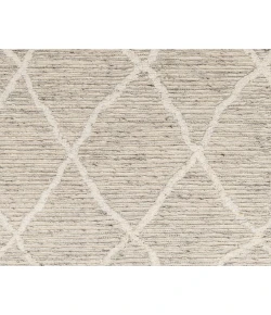 Surya Tenerife TNF2302 Light Gray Slate Area Rug 9 ft. X 12 ft. Rectangle