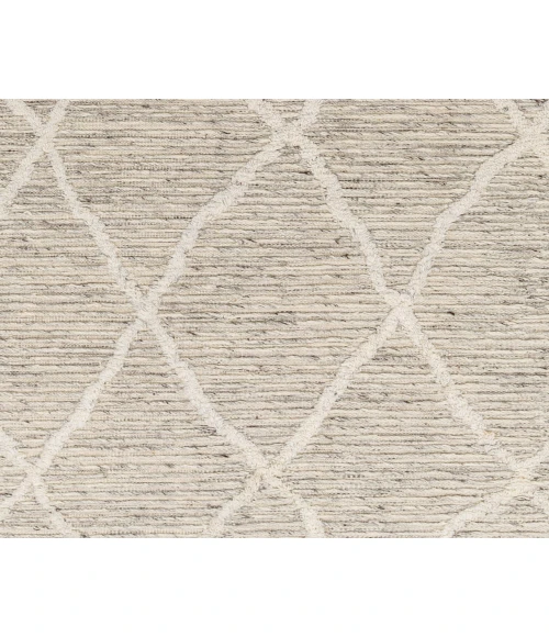 Tenerife TNF-2302 2'6" x 8' Handmade Rug