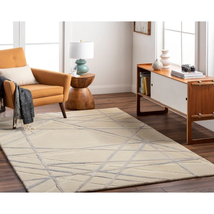 Tallinn TNL-2307 2' x 3' Handmade Rug