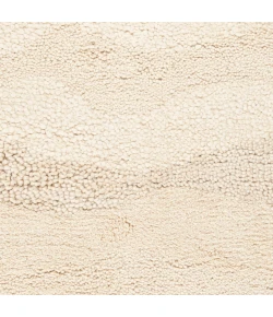 Surya Topography Light Beige TOP-6802 2ft. x 3ft. Rect. Rug