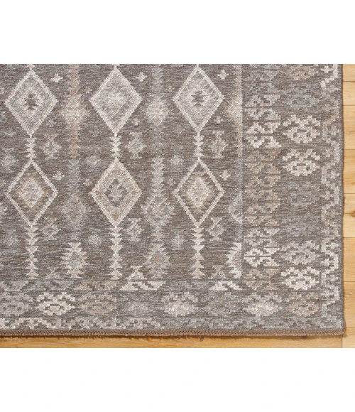 Tempe TPE-2301 2' x 3' Handmade Rug