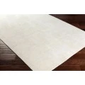 Surya Templeton TPL-4001-2x3 rug