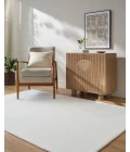 Livabliss Taraash Ivory TRH-2308 2 ft. X 3 ft. Rect. Rug