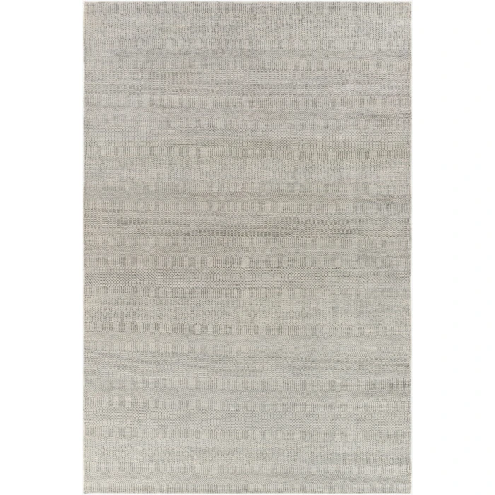 Surya Tribeca TRI-2301 2  x 3  Rug