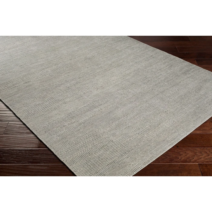 Surya Tribeca TRI-2301 2  x 3  Rug