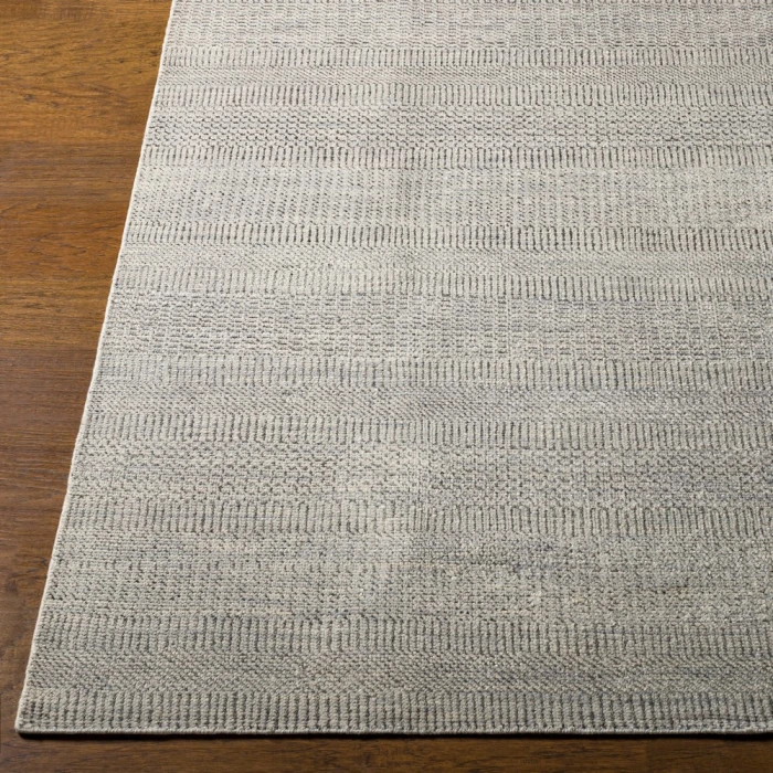 Surya Tribeca TRI-2301 2  x 3  Rug