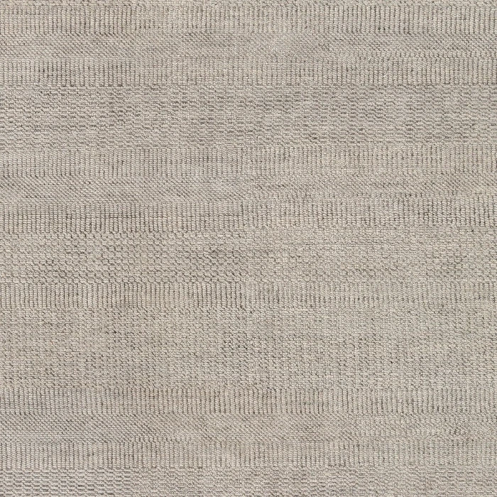 Surya Tribeca TRI-2301 2  x 3  Rug