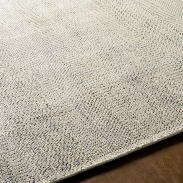 Surya Tribeca TRI-2301 2  x 3  Rug