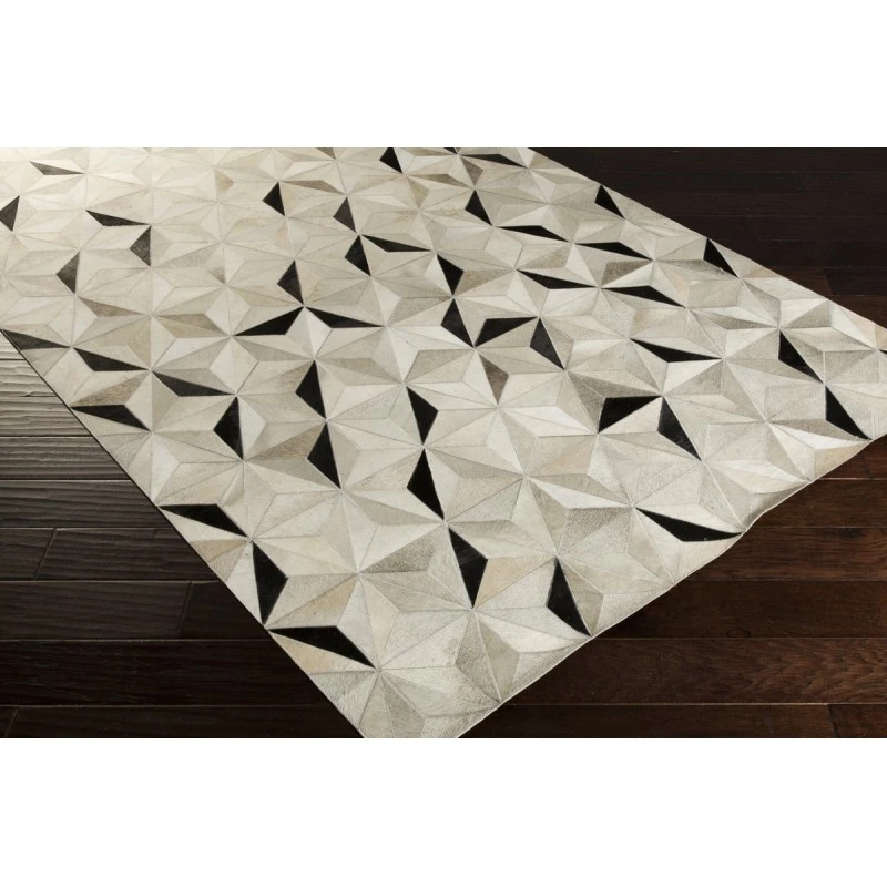 Surya Trail TRL-1128-5x8 rug