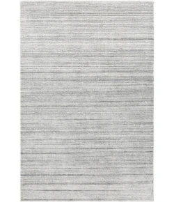 Surya Torino TRN2302 Silver Gray Medium Gray Area Rug 4 ft. X 6 ft. Rectangle