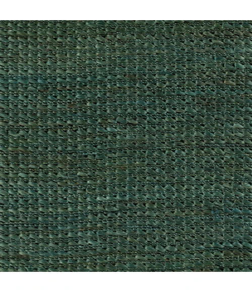 Surya Tropics TRO-1034-36x56 rug