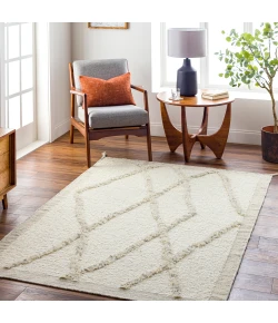 Surya Tripoli TRP2301 Cream Charcoal Area Rug 9 ft. X 12 ft. Rectangle