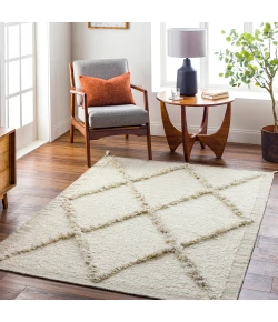 Surya Tripoli TRP2302 Cream Beige Area Rug 9 ft. X 12 ft. Rectangle