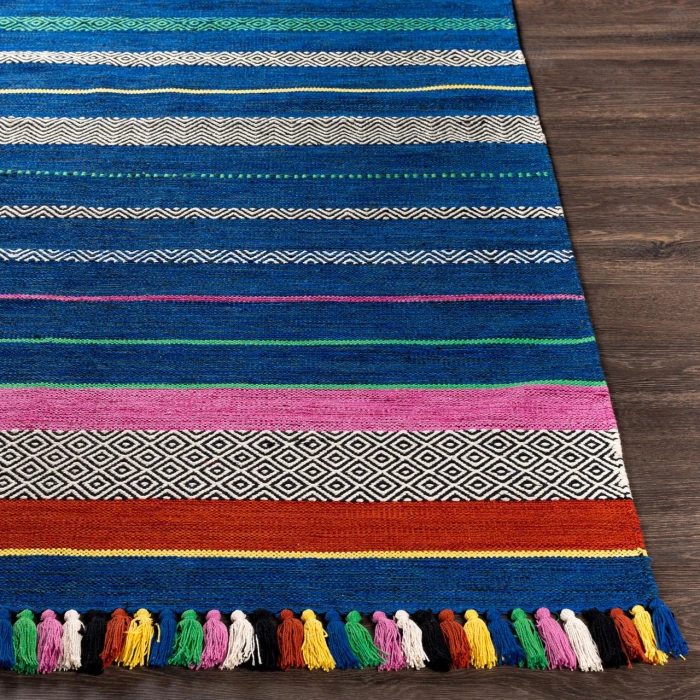 Surya Trenza TRZ-3004 4  x 6  Rug