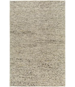 Surya Totenham TTH2301 Medium Grey Light Grey Area Rug 2 ft. X 3 ft. Rectangle