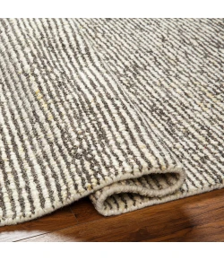 Surya Totenham TTH2301 Medium Grey Light Grey Area Rug 2 ft. X 3 ft. Rectangle