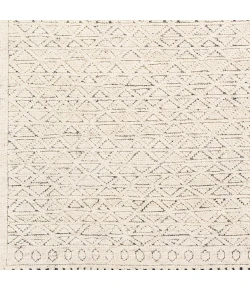 Surya Tunus Ivory TUN-2301 4ft. x 6ft. Rect. Rug