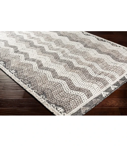 Surya Tunus TUN-2302 Area Rug