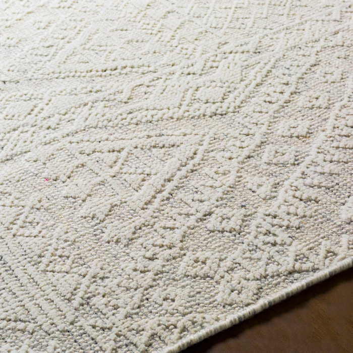 Surya Tunus TUN-2306 2  x 3  Rug