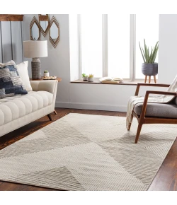 Surya Tunus TUN2308 Multi Area Rug 8 ft. X 10 ft. Rectangle