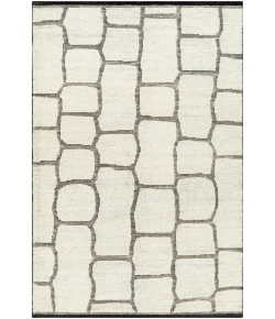 Surya Tunus TUN2309 Black Cream Area Rug 4 ft. X 6 ft. Rectangle