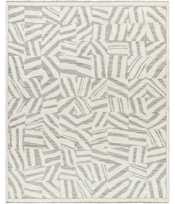 Surya Tunus TUN2314 Taupe Ivory Area Rug 4 ft. X 6 ft. Rectangle