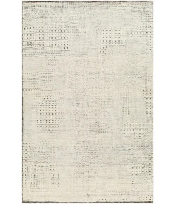 Surya Tunus TUN2316 Beige Taupe Area Rug 4 ft. X 6 ft. Rectangle