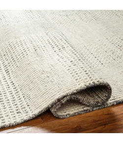 Surya Tunus TUN2316 Beige Taupe Area Rug 4 ft. X 6 ft. Rectangle