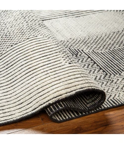 Surya Tunus TUN2317 Taupe Light Gray Area Rug 4 ft. X 6 ft. Rectangle