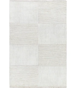 Surya Tunus TUN2318 Beige Light Gray Area Rug 4 ft. X 6 ft. Rectangle