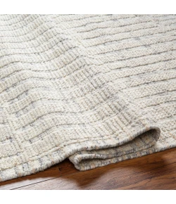 Surya Tunus TUN2320 Ivory Light Beige Area Rug 4 ft. X 6 ft. Rectangle