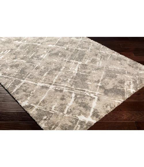 Surya Tuscany TUS-2300 Area Rug