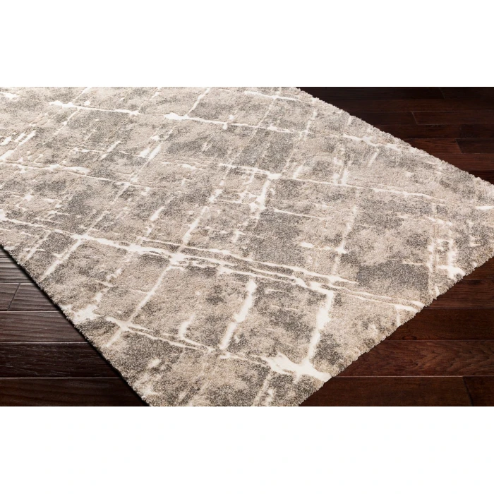 Surya Tuscany TUS-2300 Area Rug
