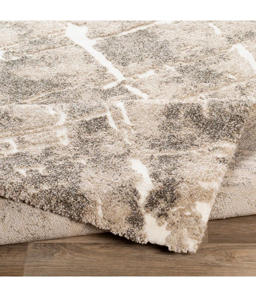 Surya Tuscany TUS-2300 Area Rug